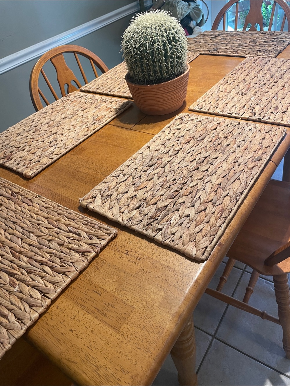 Natural Woven Placemat Set of (6)